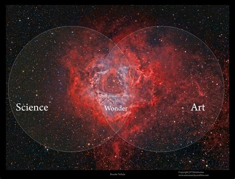 X-Ray: Ein experimenteller Blick in die Welt des Ungesehenen und der wissenschaftlichen Wunder!